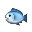 むぢちのサーバー
