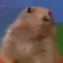 otter !!!!!!!!!!!!!!!!!!!!!!!