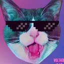 Cat♓■♑Dings👎♓■♑