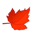 The Maple Shrine