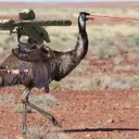 The Emu Army