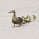 У̷Т̷К̷И̷