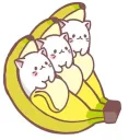 Banana Bunch
