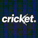 Cricket. Discord server icon