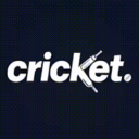 Cricket. Discord server icon