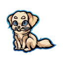Big 🐶 Pack - Pokemon
