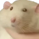 The Mouse Mafia