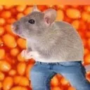 lovely's rat sewer's icon