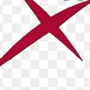 XGottieNEF