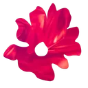 Silene-Armeria 🌸