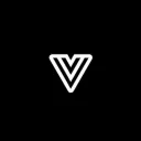 Team Vise