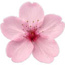 Server icon for ✨𝓖𝓪𝓶𝓲𝓷𝓰 𝓟𝓵𝓪𝓬𝓮✨