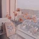 ~Kpop Server~