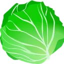 Cabbage Corp.
