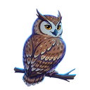 Discovery icon for Majd Studios・هقوتنا فوق.. والمقصد كبير Discord server