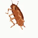 Chronobetonex
