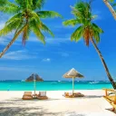 xTrapz' Paradise!