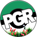 Discovery icon for Pokémon GO Raiders Discord server