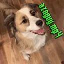 TekoManix’s Discord v2