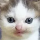 🍑 Tԋιƈƈ ιʂʅαɳԃ 🏝