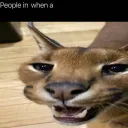 Банда Братвы