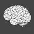 Neural Network