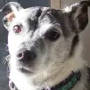 Evan Guide's Discord Channel