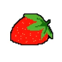 Fruit
