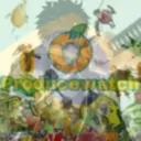 Producewatch