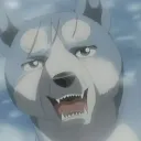 🐾Ginga Suomi 🇫🇮🐾