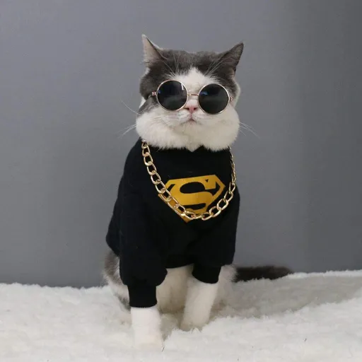 💎CAT'S FAMILY💎 — monitoring Discord server, statistics and rating