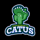 Catus Team Tournaments