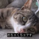 雑談んんんんんん！！！！！！！！