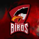 Brave Birds Nest