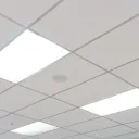 The Ceiling