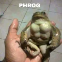 Church of Froggies