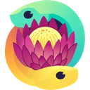 PySocZA