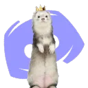 HuroncitosCord