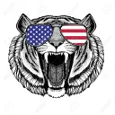 Animal's server's icon