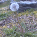 Chill Chats Server Icon