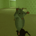 Hna Swamp rats