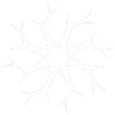 Mycelium