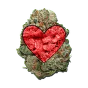 Friendly Toker's Association