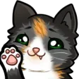 DonnySC