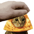 Wellvos