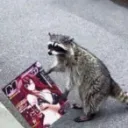 ɢɪᴠᴇꜱ ʏᴏᴜ ɴɪɢʜᴛᴍᴀʀᴇꜱ