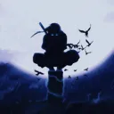 Server von Falke