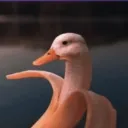 HyperDucks