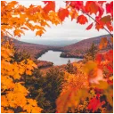 🍁Brambleberry Woods 🍁