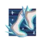 OSFE_Racejp